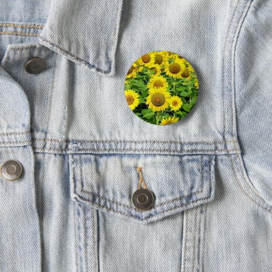 Badge Rond 5 Cm Gisements de tournesol (En situation)
