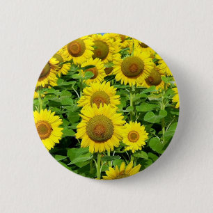 Badge Rond 5 Cm Gisements de tournesol