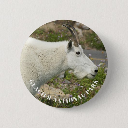 Badge Rond 5 Cm Glacier National Park Mountain Chèvre Photo (Devant)