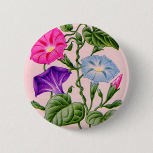 Badge Rond 5 Cm gloire du matin en bleu et rose