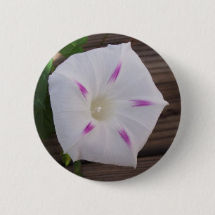 Badge Rond 5 Cm Glory White du matin