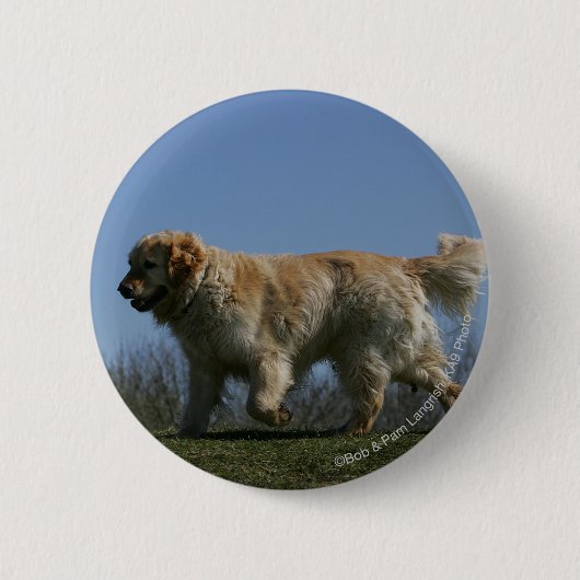 Badge Rond 5 Cm Golden retriever courant 3 (Devant)