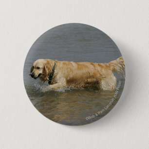 Badge Rond 5 Cm Golden retriever dans l'eau