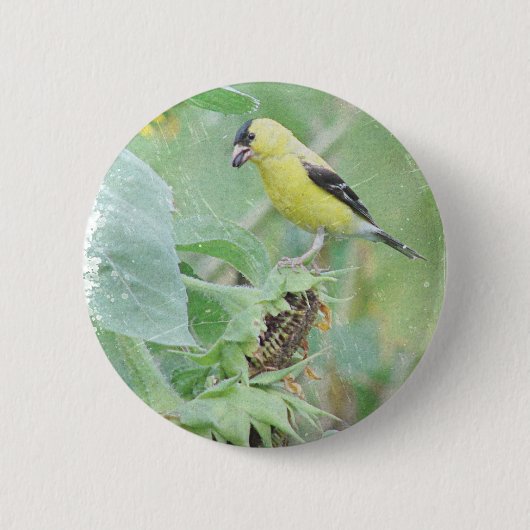 Badge Rond 5 Cm Goldfinch Grunge (Devant)