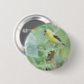 Badge Rond 5 Cm Goldfinch Grunge (Devant & derrière)