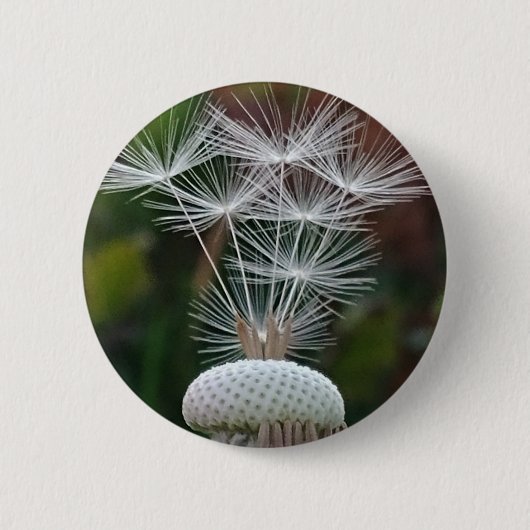 Badge Rond 5 Cm Graines de pissenlit délicates (Devant)