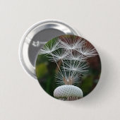 Badge Rond 5 Cm Graines de pissenlit délicates (Devant & derrière)