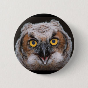 Badge Rond 5 Cm Grand bouton de hibou à cornes