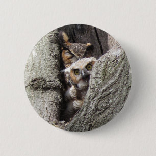 Badge Rond 5 Cm Grand Chouette à la corne avec nouveau-né