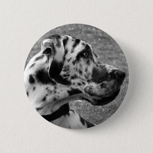 BADGE ROND 5 CM GRAND DANE (Devant)
