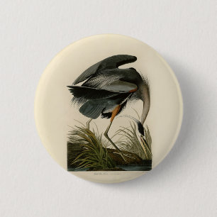 Badge Rond 5 Cm Grand Héron bleu d'Audubon Marais Oiseau