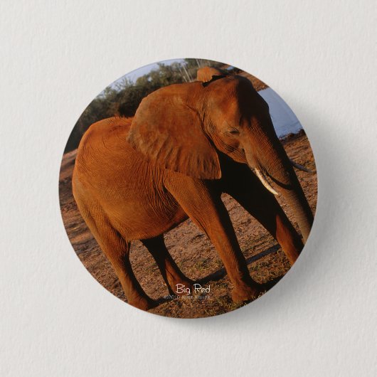 Badge Rond 5 Cm Grand Rouge (Devant)