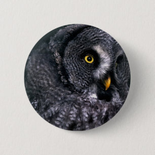 Badge Rond 5 Cm Grande Chouette grise