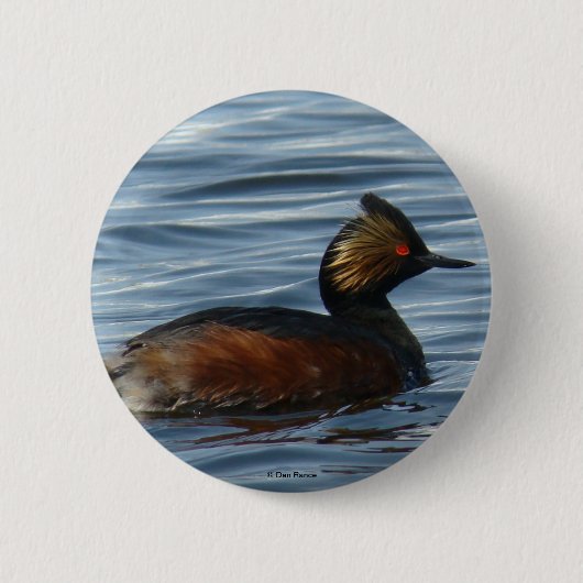 Badge Rond 5 Cm Grèbe à oreilles (Devant)