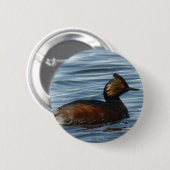Badge Rond 5 Cm Grèbe à oreilles (Devant & derrière)