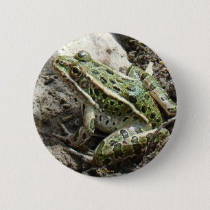 Badge Rond 5 Cm Grenouille léopard R3
