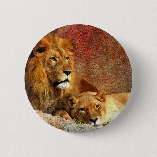 Badge Rond 5 Cm Gros Chats - 6 (Devant)