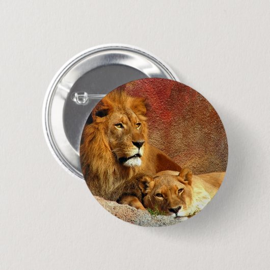 Badge Rond 5 Cm Gros Chats - 6 (Devant & derrière)