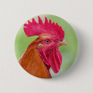 Badge Rond 5 Cm Gros plan