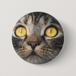 Badge Rond 5 Cm Gros plan de chat avec Yellow Eyes