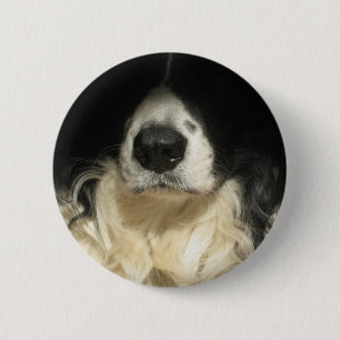Badge Rond 5 Cm Gros plan sur le nez du chien