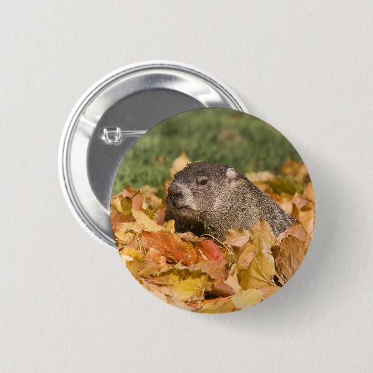Badge Rond 5 Cm Groundhog (Devant & derrière)
