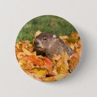 Badge Rond 5 Cm Groundhog