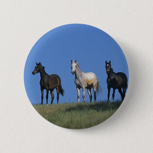 Badge Rond 5 Cm Groupe d'Arabes (Devant)