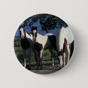 Badge Rond 5 Cm Groupe de chevaux de peinture