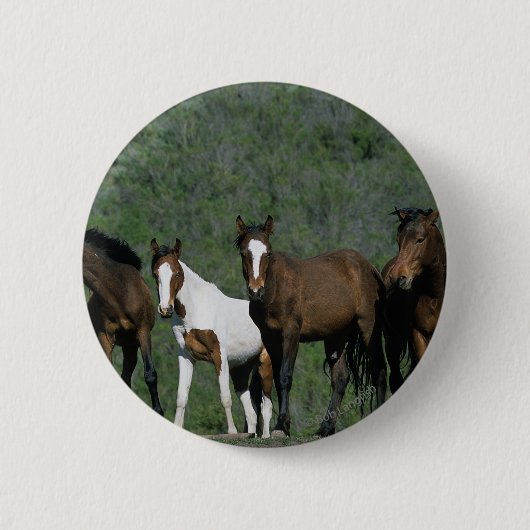 Badge Rond 5 Cm Groupe de chevaux sauvages de mustang (Devant)