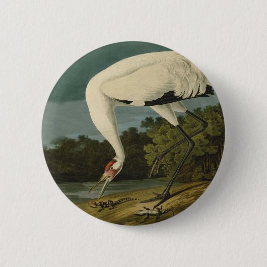 Badge Rond 5 Cm Grue blanche Audubon Peinture d'oiseaux (Devant)