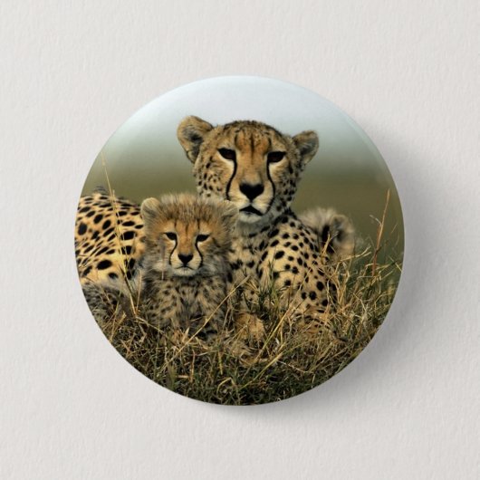 Badge Rond 5 Cm Guépard et CUB (Devant)