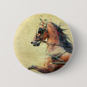 Badge Rond 5 Cm Hackney Pony