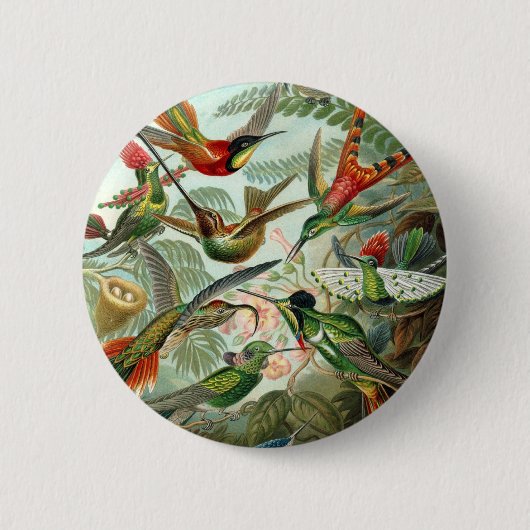 Badge Rond 5 Cm Haeckel (Devant)