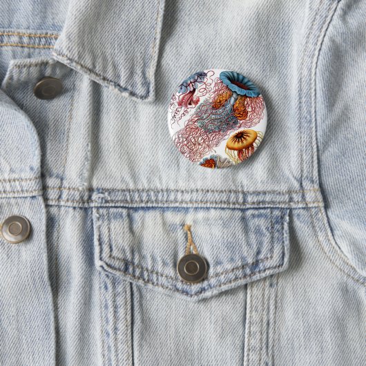 Badge Rond 5 Cm Haeckel Discomedusae (En situation)