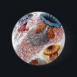 Badge Rond 5 Cm Haeckel Discomedusae<br><div class="desc">Poisson-gelée scientifique</div>
