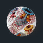 Badge Rond 5 Cm Haeckel Discomedusae<br><div class="desc">Poisson-gelée scientifique</div>