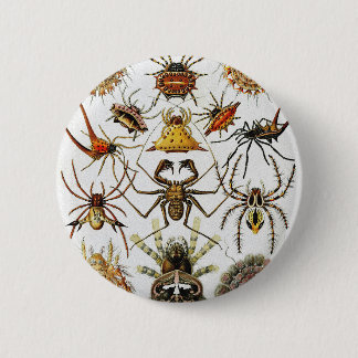Badge Rond 5 Cm Haeckel Golden Spiders plaque 66