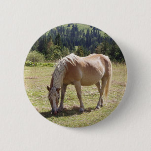 Badge Rond 5 Cm Haflinger Palomino Pony en été Pony Photo