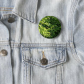 Badge Rond 5 Cm Haie de cèdre (En situation)