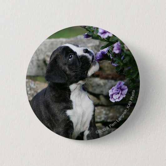 Badge Rond 5 Cm Halètement de chien de boxeur (Devant)