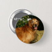Badge Rond 5 Cm Halètement de golden retriever (Devant & derrière)