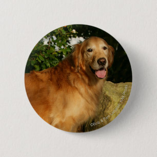 Badge Rond 5 Cm Halètement de golden retriever