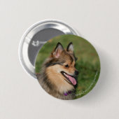 Badge Rond 5 Cm Halètement de Headshot de Pomeranian (Devant & derrière)
