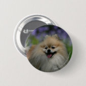 Badge Rond 5 Cm Halètement de Pomeranian (Devant & derrière)
