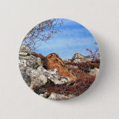 BADGE ROND 5 CM HARE (Devant)