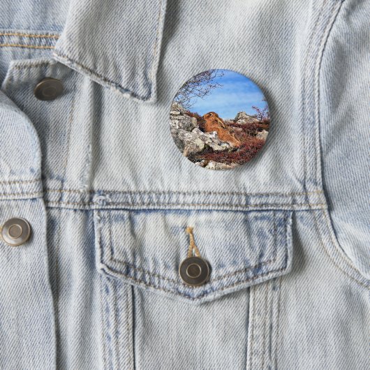 BADGE ROND 5 CM HARE (En situation)