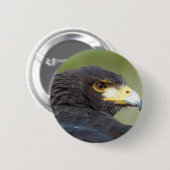 Badge Rond 5 Cm Harris Hawk (Devant & derrière)