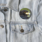 Badge Rond 5 Cm Harris Hawk (En situation)