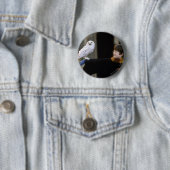 Badge Rond 5 Cm Harry et Hedwig 3 (En situation)